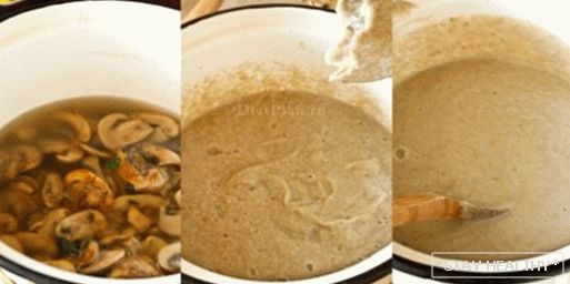 Houbová krémová polévka s bazalkou