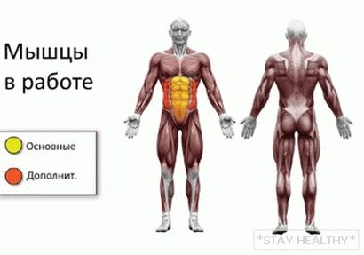 myshtsy-pri-obratnyh-kranchah myshtsy-pri-obratnyh-kranchah