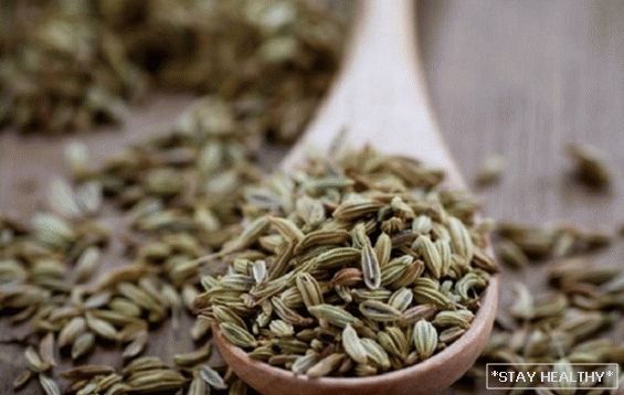 "Secret Fruit" voňavé zahradní zeleně. Co jepotřebujete vědět o výhodách a rizicích koprových semen?